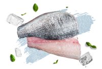 Carp fillets