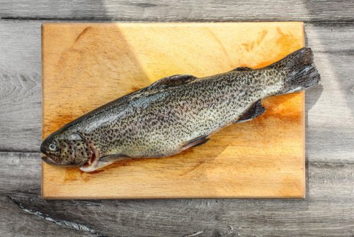 Rainbow trout HOG