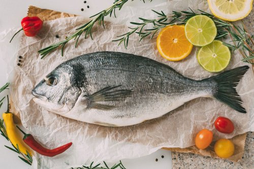 Sea Bream HOG