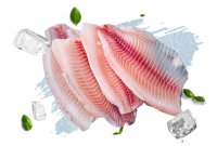 Tilapia fillets