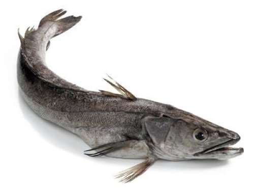 Hake HGT